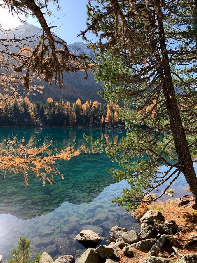 B&B Cuore Verde Poschiavo Bagian luar foto
