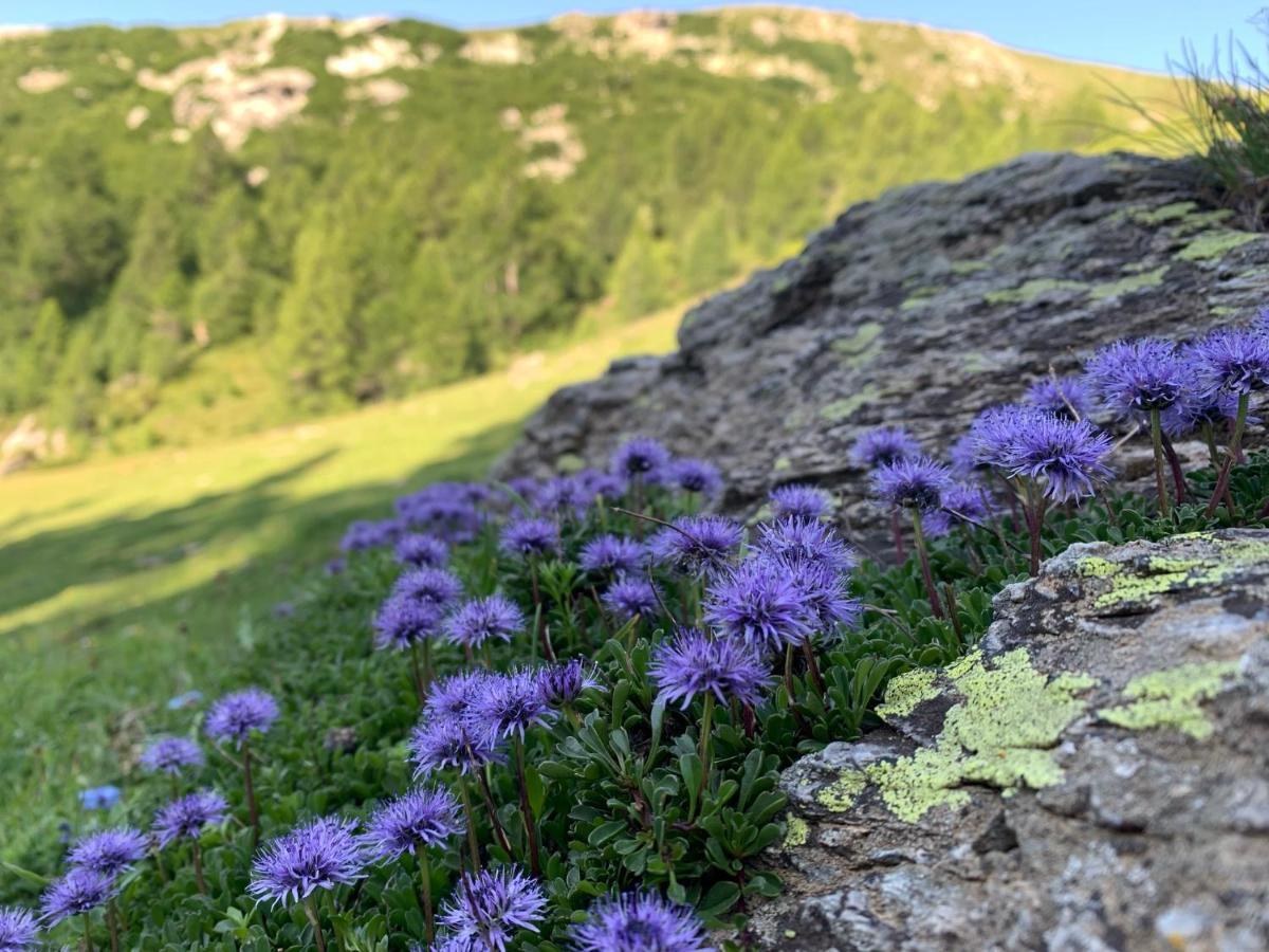 B&B Cuore Verde Poschiavo Bagian luar foto