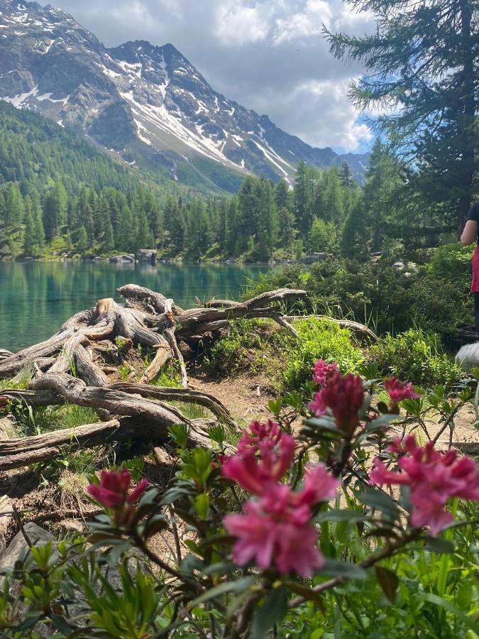 B&B Cuore Verde Poschiavo Bagian luar foto