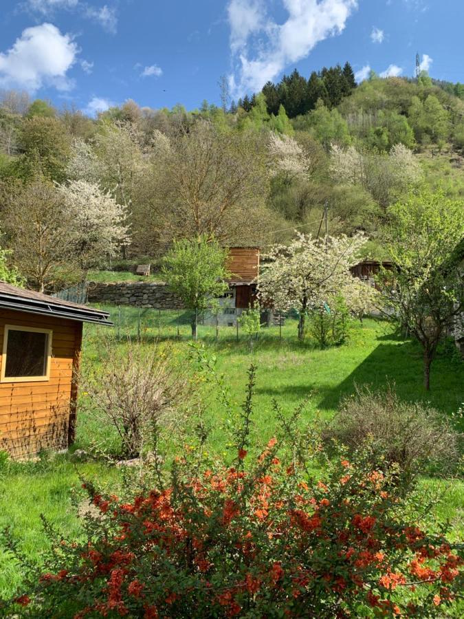 B&B Cuore Verde Poschiavo Bagian luar foto